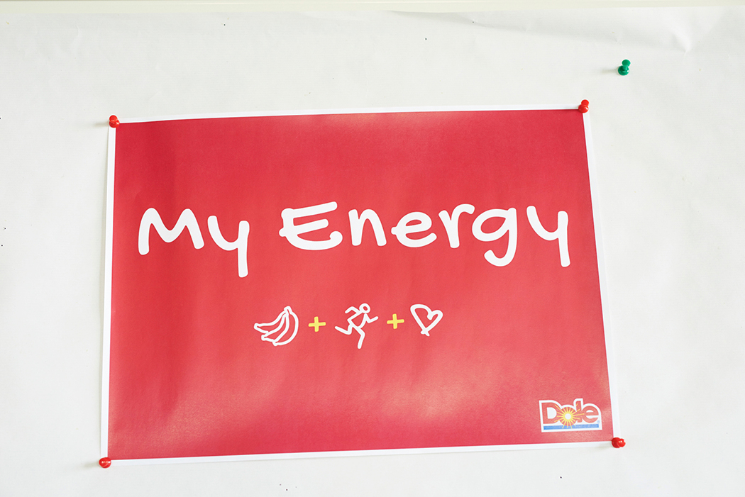 03_Dole Energy-Day 2015