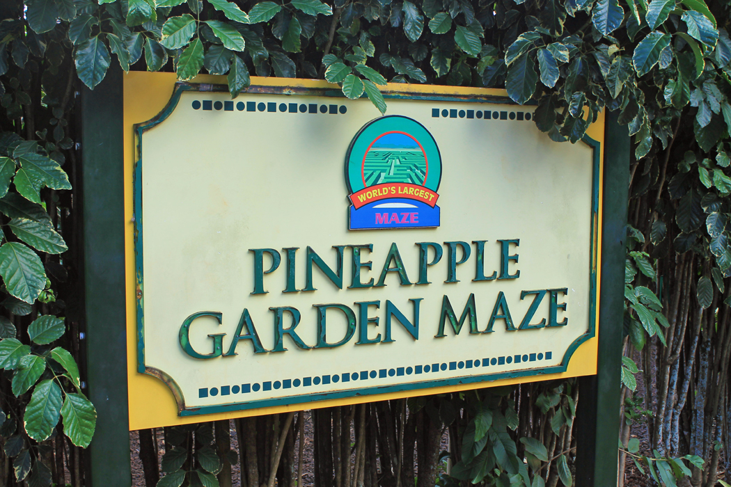 Dole Pineapple Garden Maze